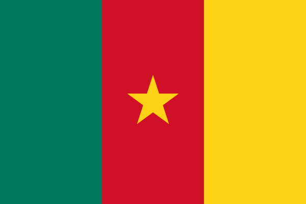 Vlag Kameroen 70x100cm