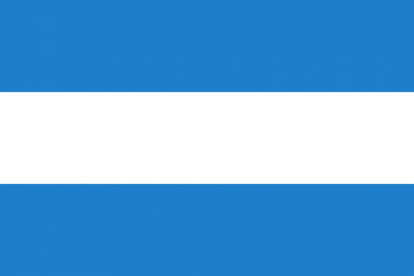 Vlag Tienen
