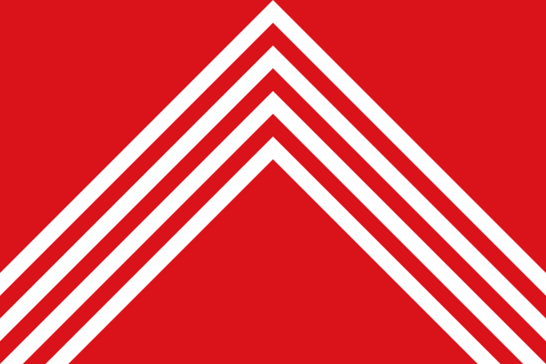 Vlag Brakel 120x180cm