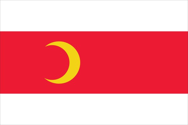 vlag Doesburg 70x100cm 