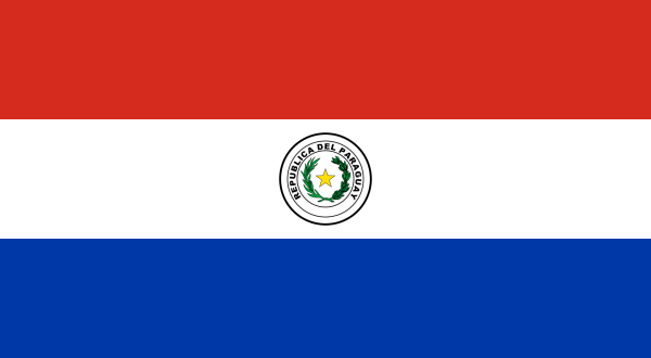 Vlag Paraguay 70x100cm
