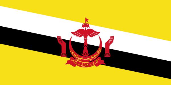 Vlag Brunei 70x100cm
