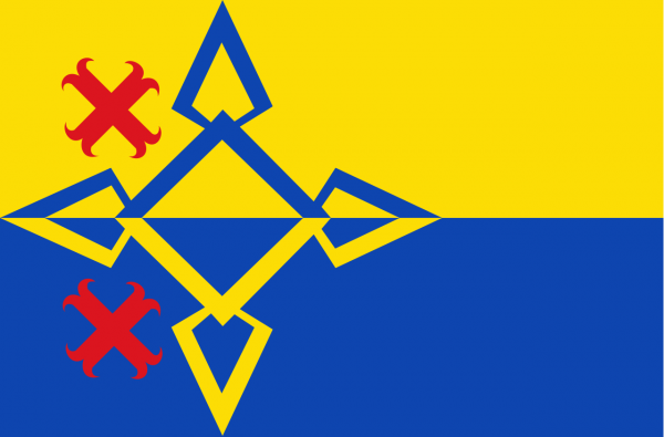 Vlag Steenwijk 120x180cm