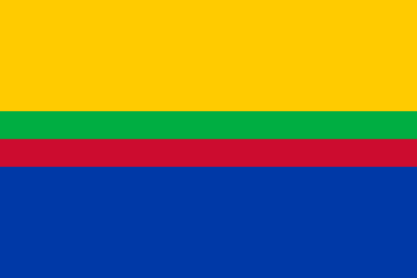 Vlag Appingedam 70x100cm