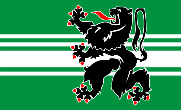Vlag Oost-Vlaanderen 50x75cm