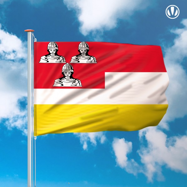 Mastvlag Eemnes