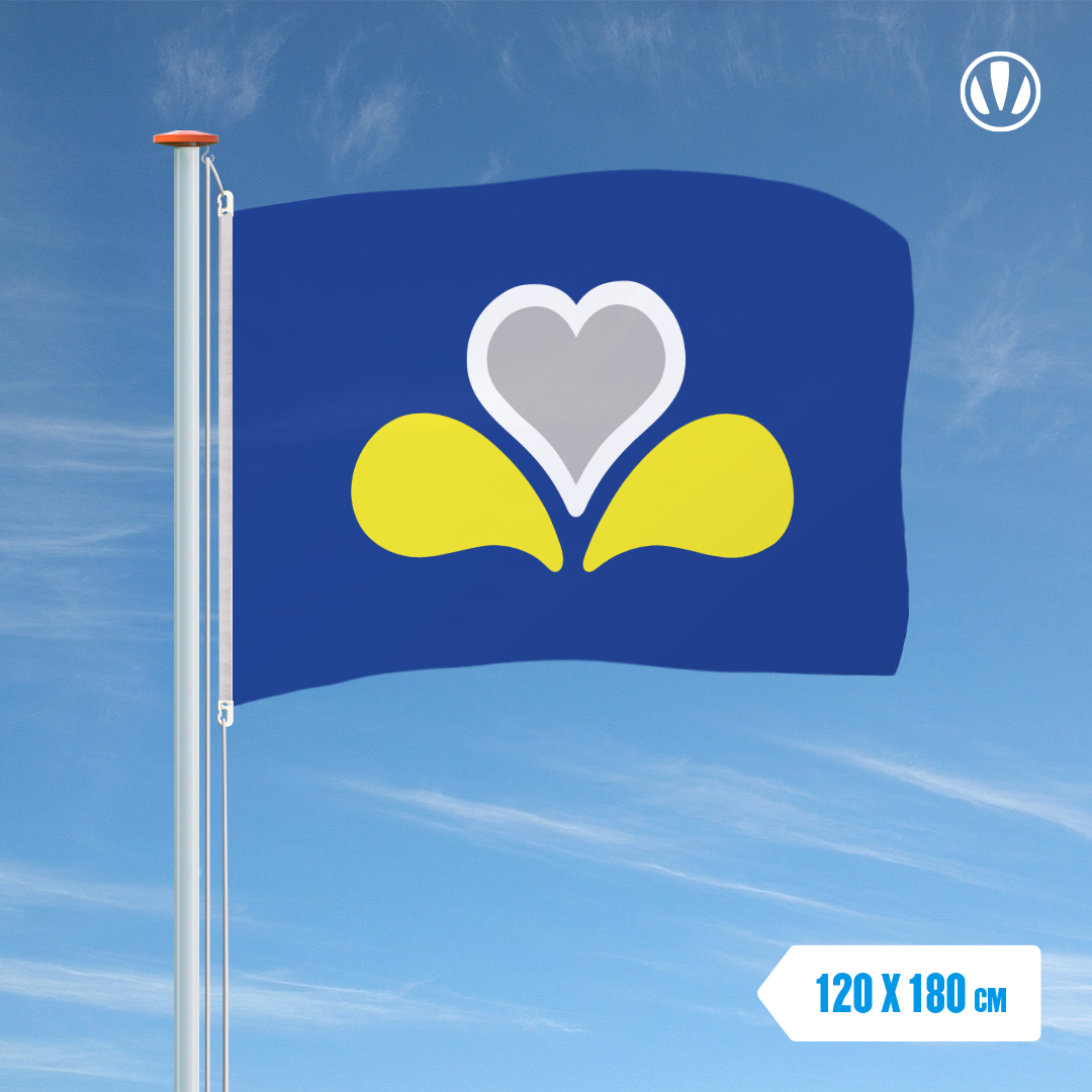 Vlag Brussel (HG) 120x180cm Alleen bij de