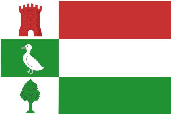 Vlag Halderberge 70x100cm