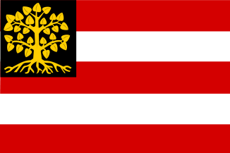 Vlag gemeente Den Bosch vlaggen 's-Hertogenbosch 70x100cm