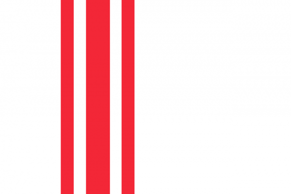 Vlag Oisterwijk 70x100