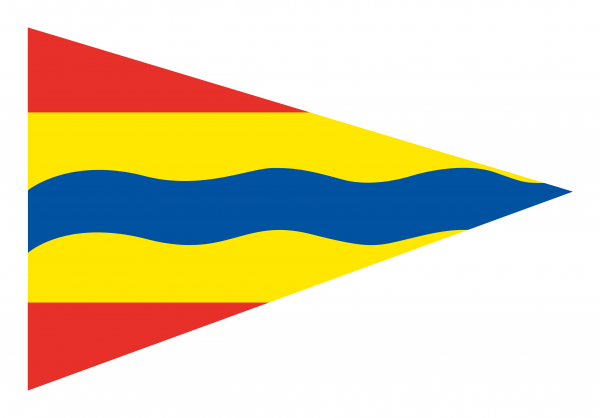 Puntvlag Overijssel 30x45