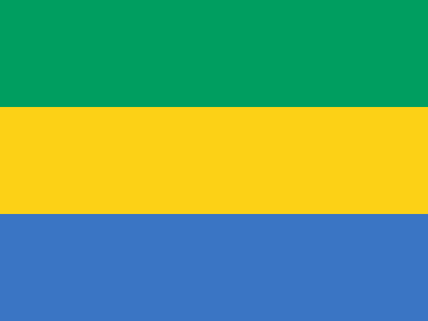 Vlag Gabon 70x100cm