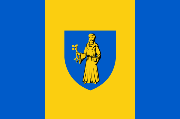 Vlag Lille 120x180cm