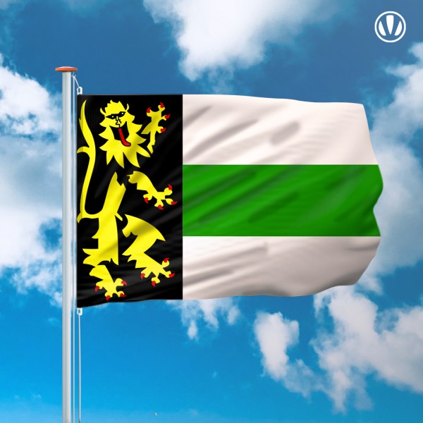 Mastvlag Druten