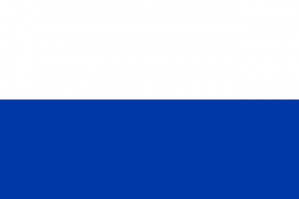 Vlag Kampen 30x45
