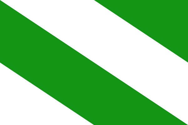 Vlag Evere 120x180cm