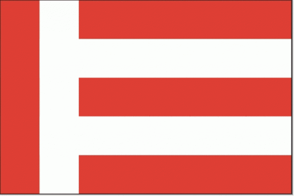 Vlag gemeente Eindhoven | Eindhovense vlaggen 30x45cm