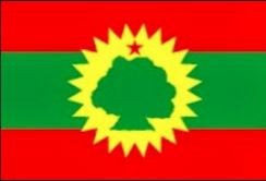 Tafelvlaggen Ethiopië Oromo Liberation Front 10x15cm | Ethiopische OLF tafelvlag