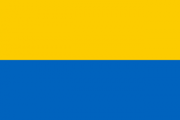 Vlag Bodegraven-Reeuwijk 30x45cm