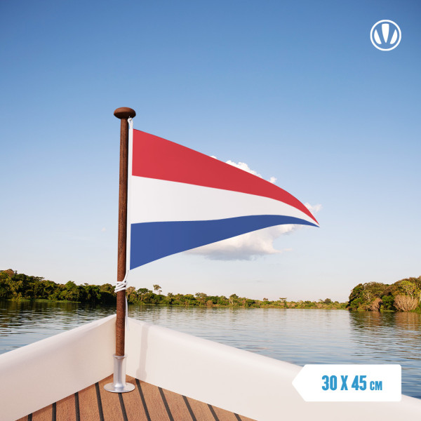 Nederlandse Puntvlag 30x45cm