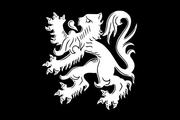 Grote vlag Asse