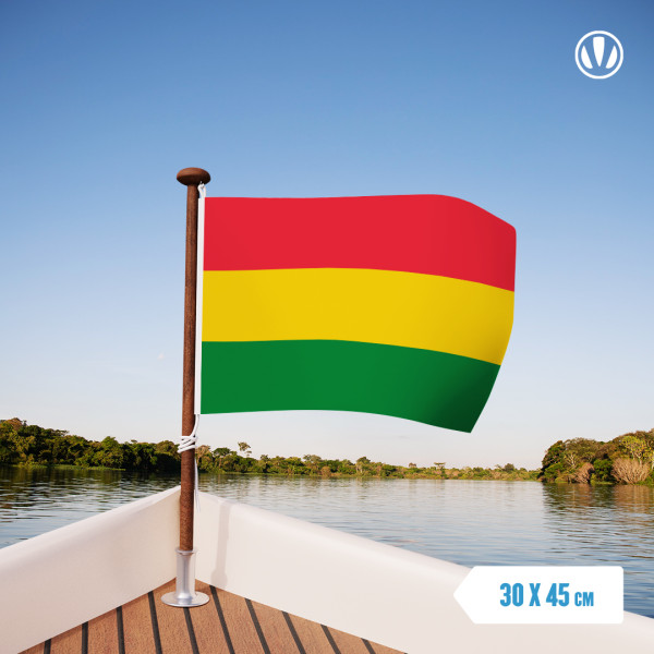 Carnaval vlag Limburg 30x45cm Carnavalsvlag