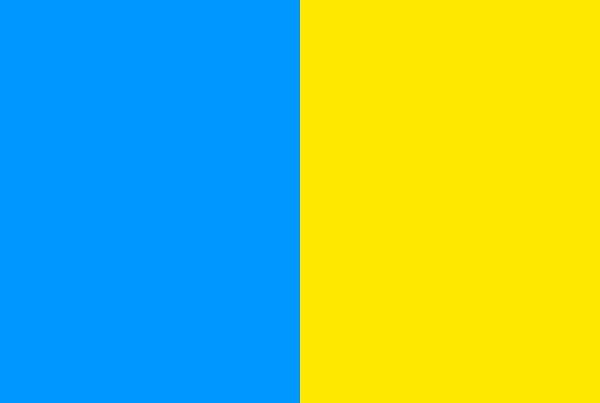 Vlag Sint-Jans-Molenbeek 120x180cm