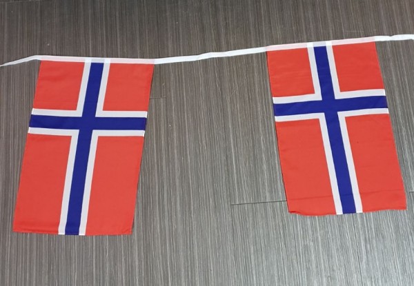Vlaggenlijn Noorwegen 10m XL