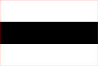 Vlag gemeente Delft Delftse vlaggen 150x225cm mastvlag