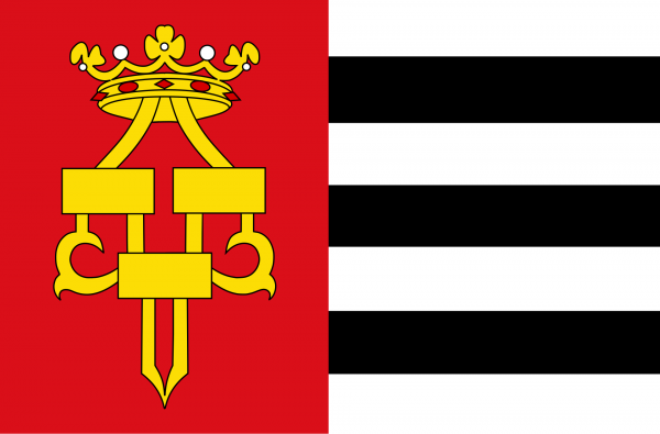 Grote vlag Drachten