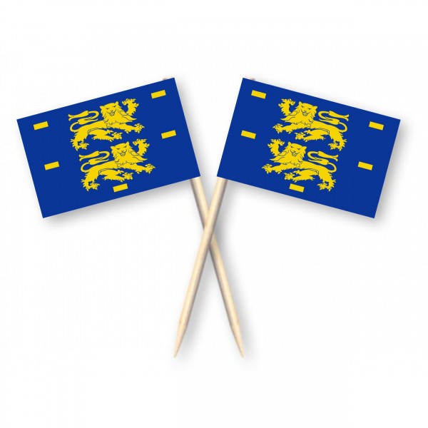 Cocktailprikkers met vlag West-Friesland, Kaasprikkers, 50 stuks