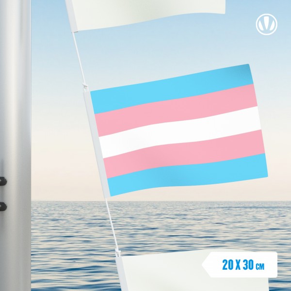 Transgender vlag