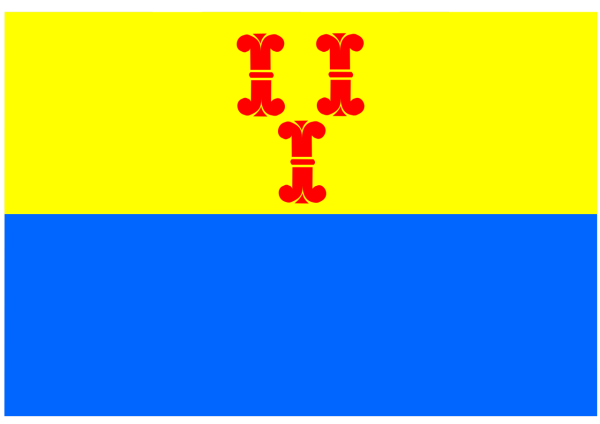 Vlag Barneveld 70x100cm