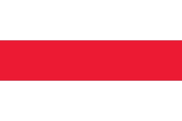 Vlag Brielle 150x225cm Brielse mastvlag