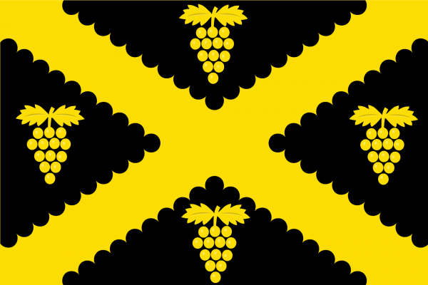 mastvlag Wijnegem 150x225cm