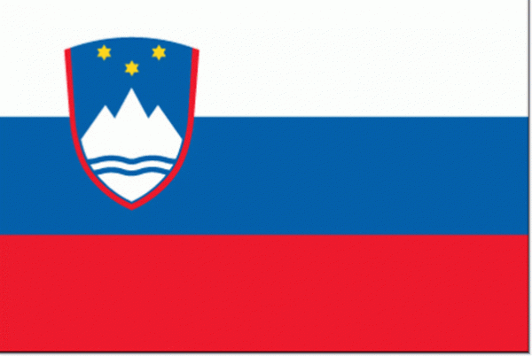 Sloveense vlag | vlaggen Slovenie 50x75cm gastenvlag