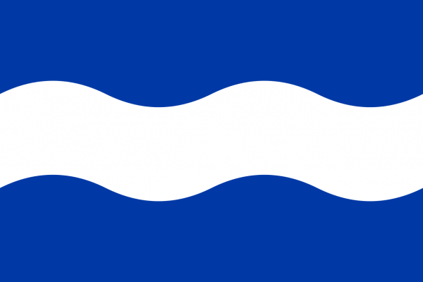 Vlag Maassluis 30x45cm