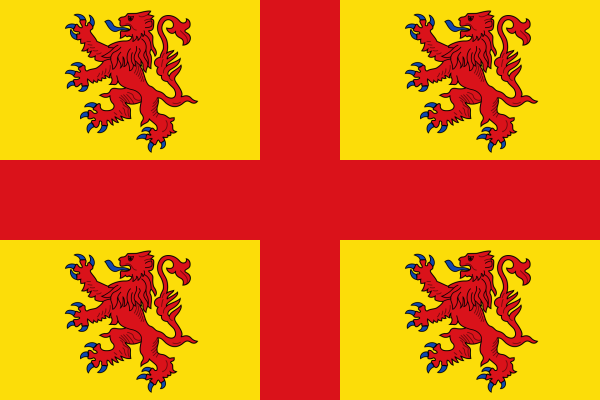 Vlag Steenput 120x180cm