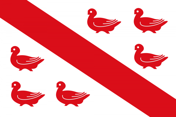 Grote vlag Tinlot