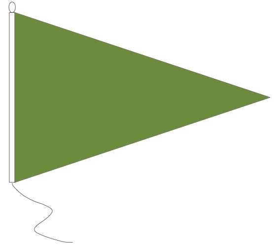 Groene puntvlag 20x30cm
