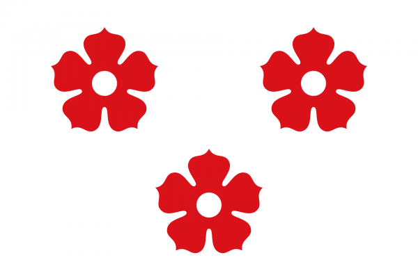 Grote vlag Ardooie