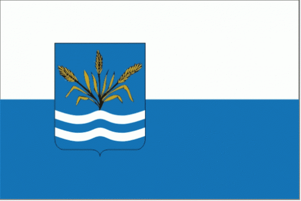 Vlag gemeente Haarlemmermeer | Haarlemmermeerse vlaggen 20x30cm