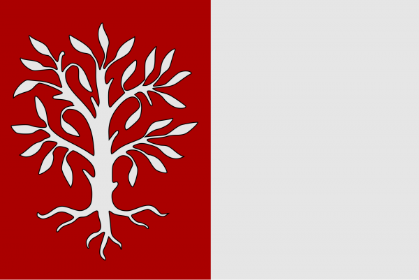 Grote vlag Herentals