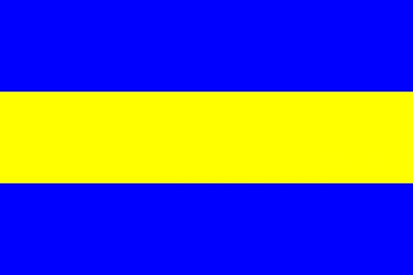 Vlag Rijswijk 30x45cm
