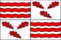 Grote vlag Froidchapelle