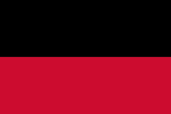 Vlag van Nijmegen bestel je goedkoop bij • Hoge kwaliteit, lage prijs
