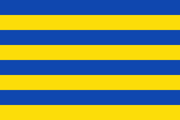 Vlag Wellen 120x180cm