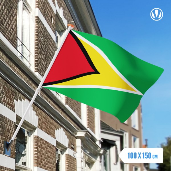 Vlag Guyana 100x150