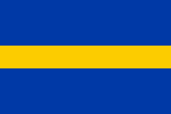 Vlag Borne 70x100cm