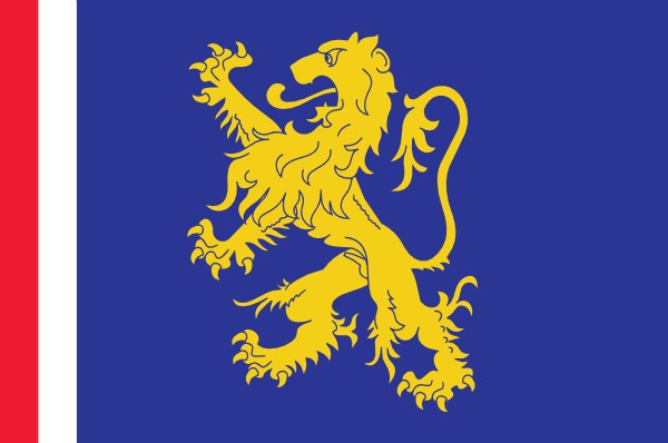 vlag Leeuwarden 50x75cm